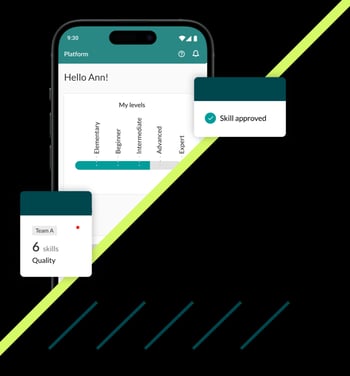 create a digital skills matrix - skills portfolio