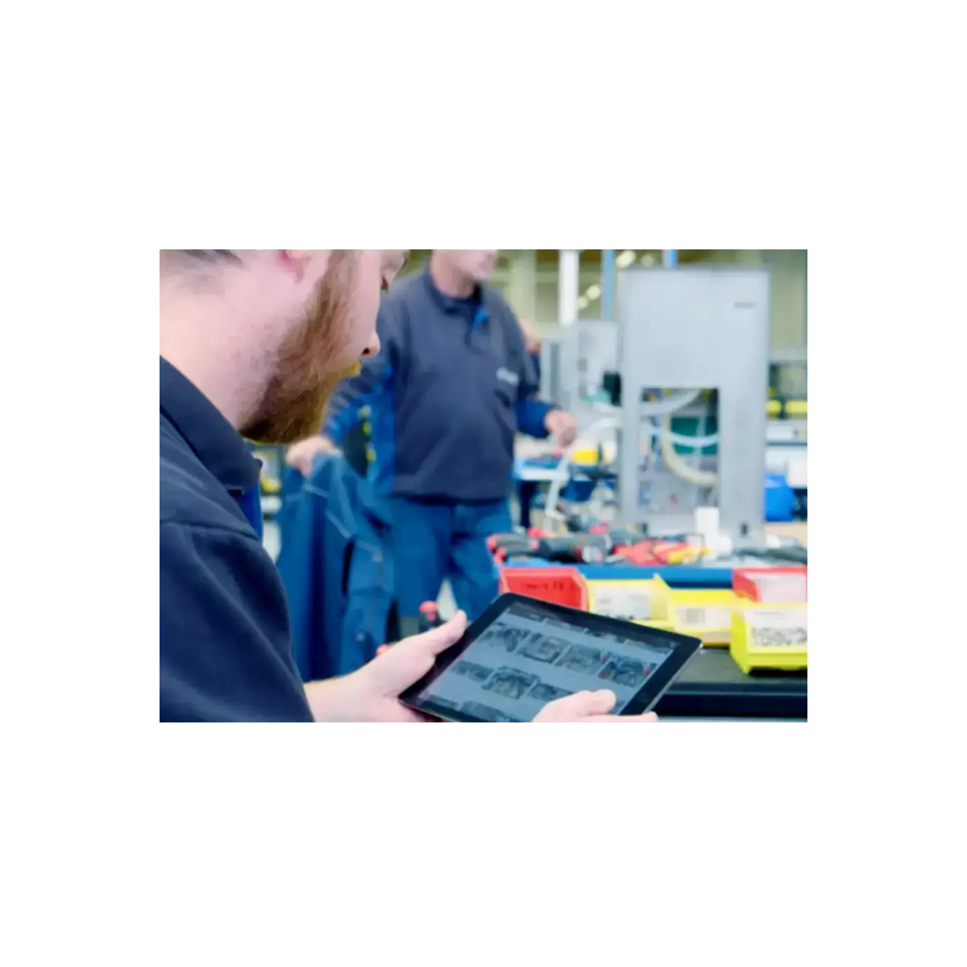 Customer Story_Animo_